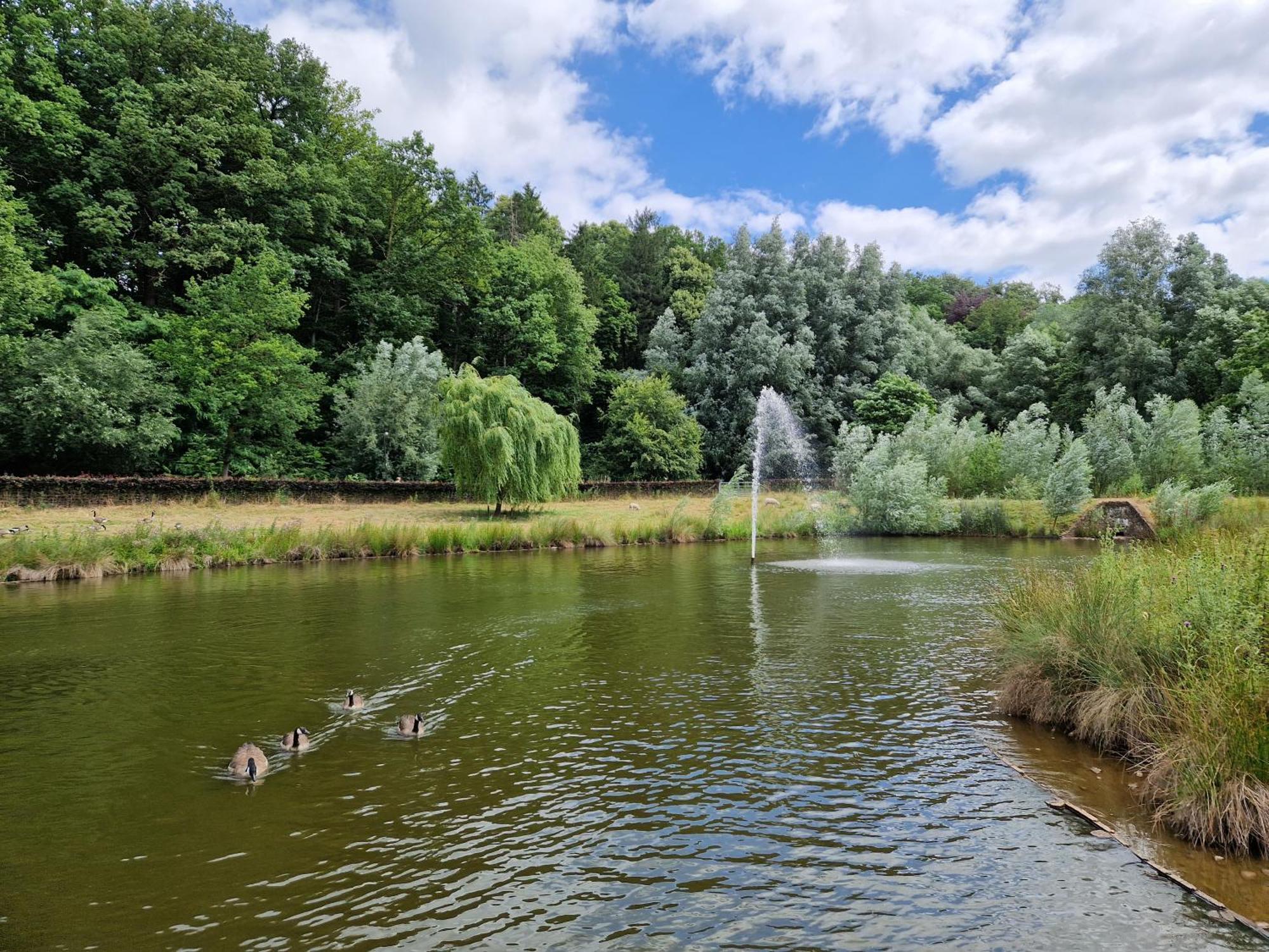 Heuvel 35 Villa Simpelveld Dış mekan fotoğraf